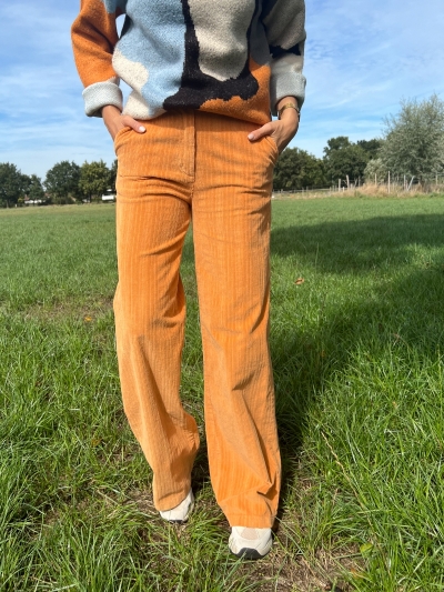 Catharin pants orange  
